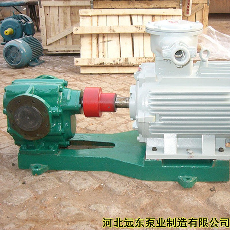 输送各种润滑性差的介质用  2CG-15齿轮泵 润滑油   油渣泵输送泵-泊远东
