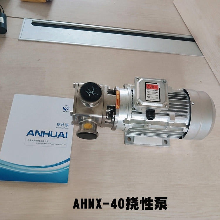 挠性泵 RXB-40抽肉酱面糊自吸泵 食品级转子泵图片