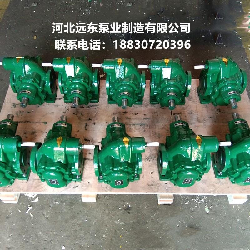 KCB2002CY-12/0.33)不锈钢齿轮泵作为输送橄榄油泵也可做输送润滑油泵-泊远东