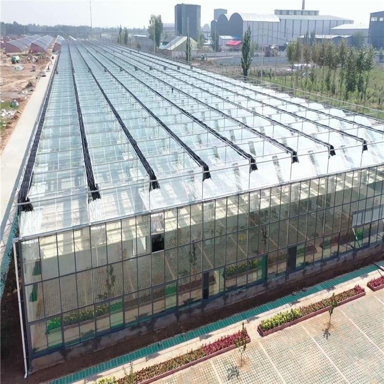 花卉玻璃温室 玻璃智能温室 多规格玻璃温室定制 博伟