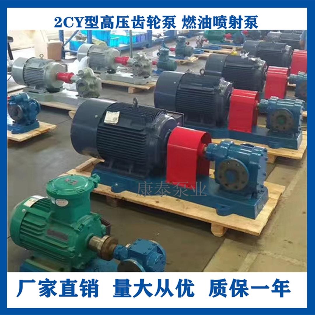 2CY12/2.5齿轮油泵 高压管道泵 管道输油泵 不锈钢齿轮泵