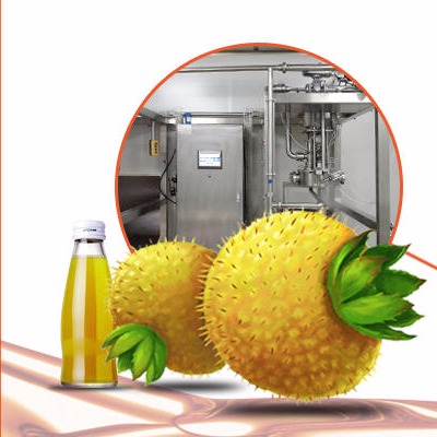 贵州刺梨汁生产线  果汁生产线 NFC果汁生产线 刺梨汁饮料生产线CF-CL002 琛菲机械
