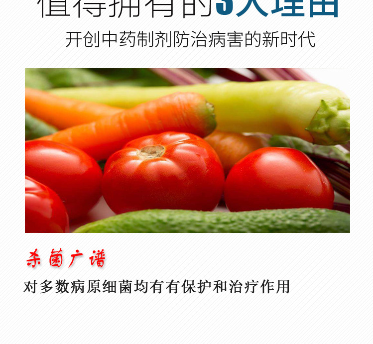 细截新型植物源制剂奥力克细截杀菌农产品蔬菜番茄软腐专用示例图6