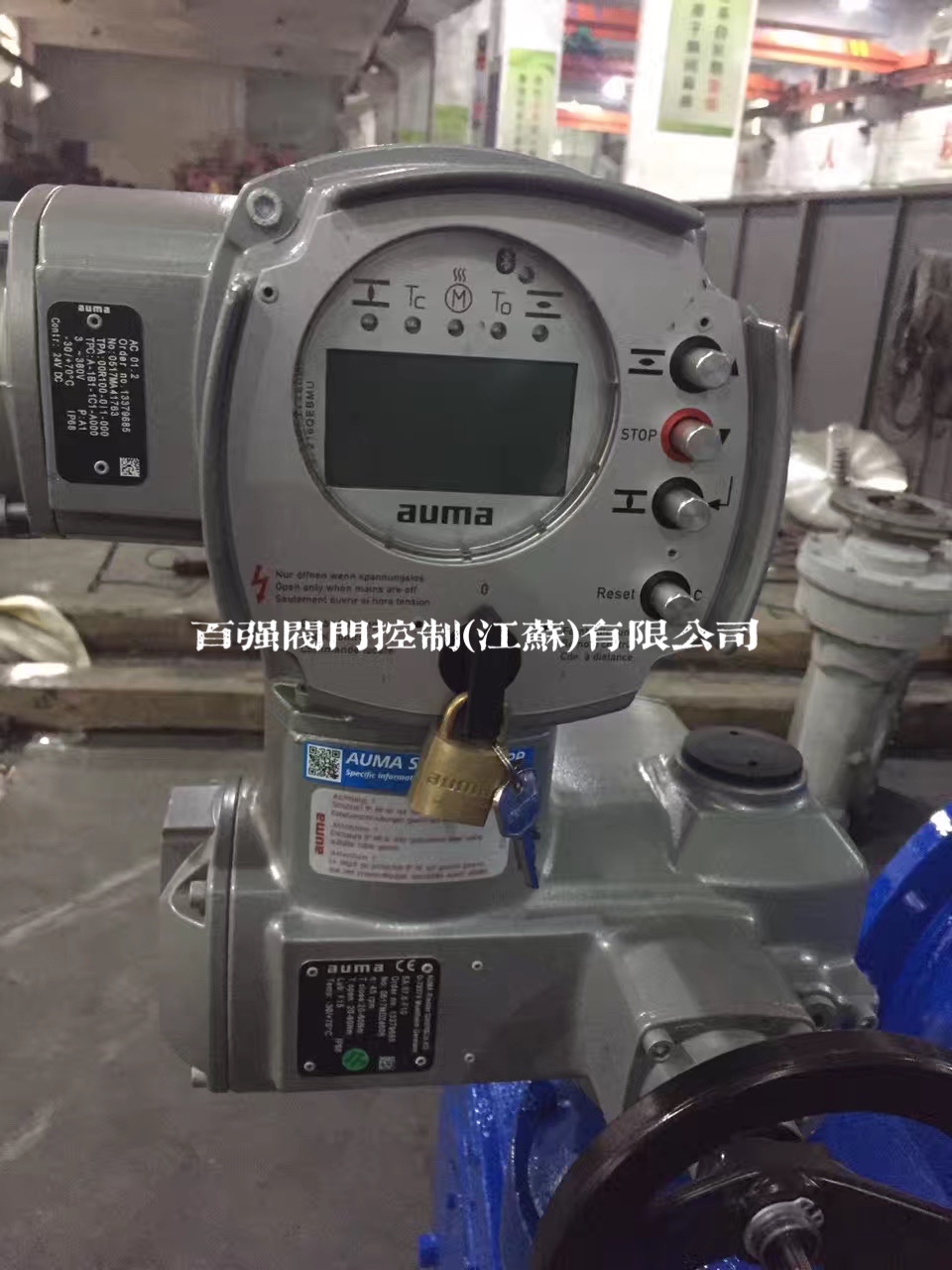 欧玛执行器配件  欧玛/奥玛/AUMA固态继电器Z039.700