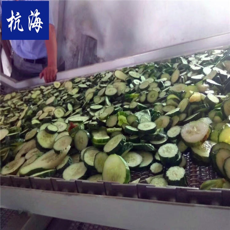 网带式黄瓜烘干机 黄瓜干燥设备 杭海机械 烘干机制作厂家图片