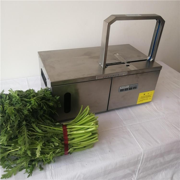 不锈钢蔬菜捆扎机 小型水果扎捆机 全自动OPP热熔束带机