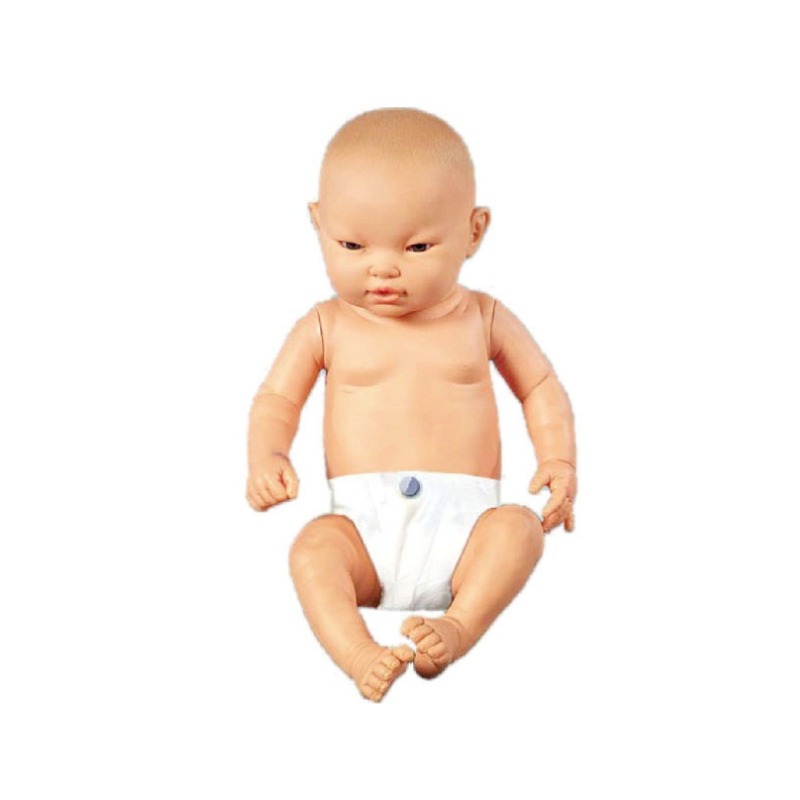 智能婴儿模型实训考核设备   智能婴儿模型实训装置   智能婴儿模型综合实训台图片