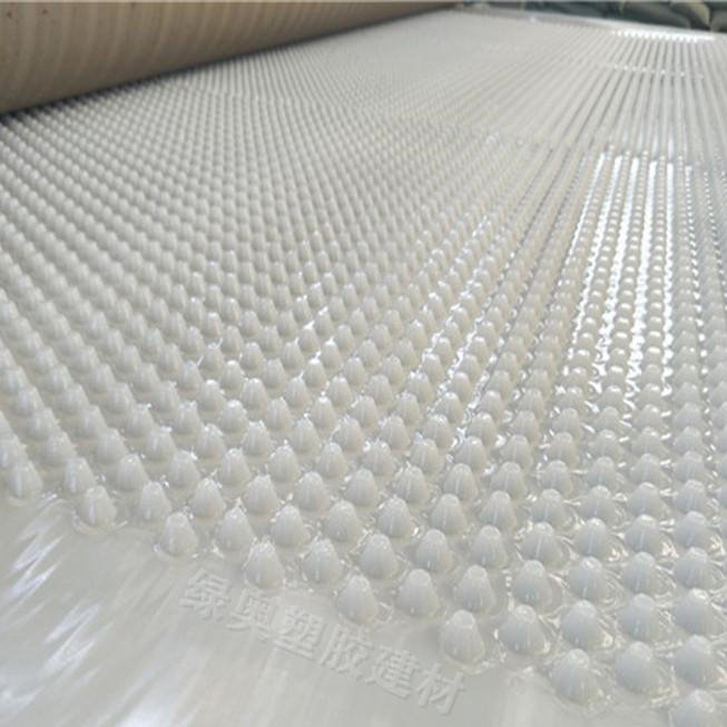 专业生产塑料疏水板塑料排水塑料排水板批发供应滤水板