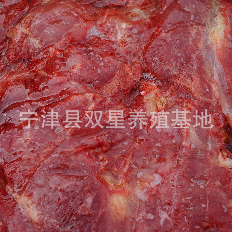 蒙古进口鲜马肉 活马屠宰脖头肉产地直销 天然食品新鲜马肉示例图2
