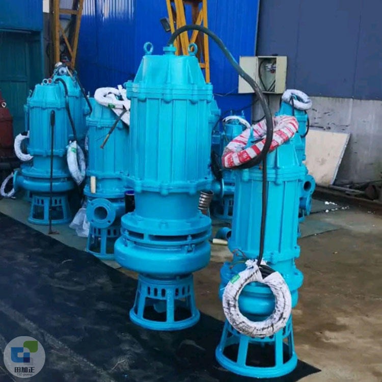 田加正 潜水抽沙泵 抽砂泵 ZJQ65-30耐磨潜水吸沙泵 现货供应