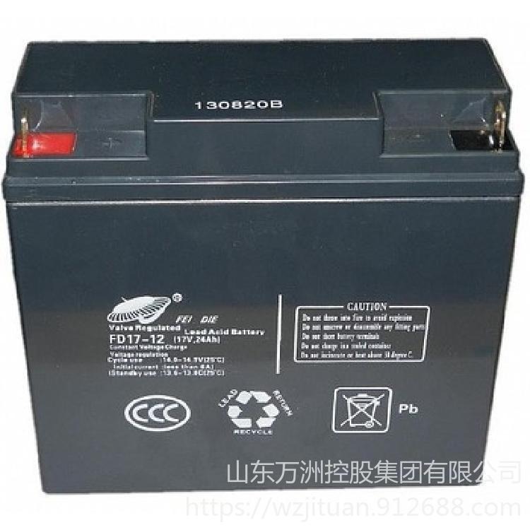 飞碟蓄电池FD17-12 飞碟12V17AH 阀控式铅酸蓄电池 UPS直流屏机房电源专用 参数及价格图片