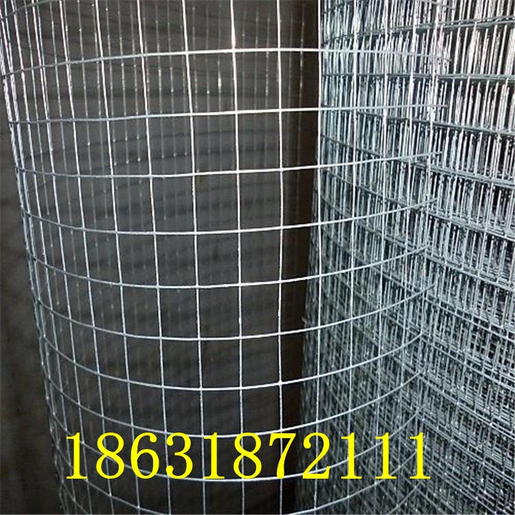 安平龙润丝网厂家批发 1.5米热镀电焊网20米 1.3孔80#白色防锈养殖网