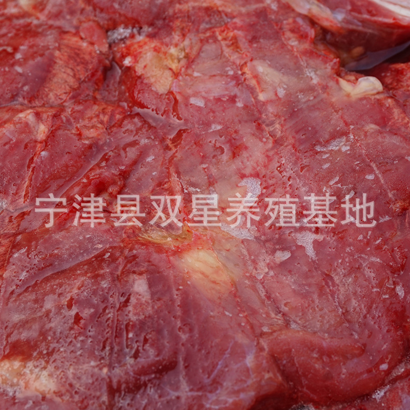 蒙古进口鲜马肉 活马屠宰脖头肉产地直销 天然食品新鲜马肉示例图4