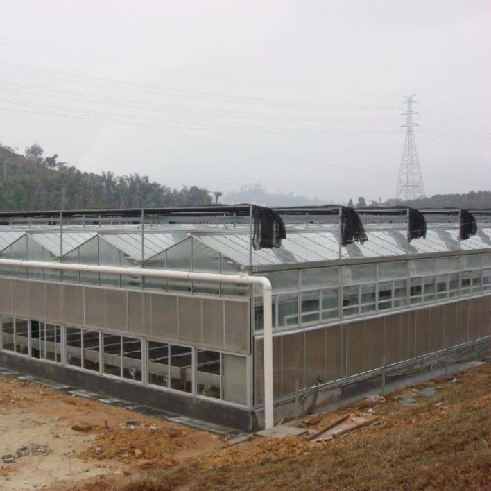 温室钢结构大棚 玻璃温室大棚 葡萄玻璃温室