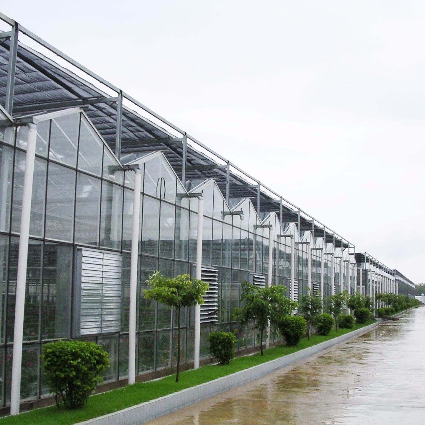 潍坊建达温室 温室蔬菜大棚 加工蔬菜玻璃温室 潍坊玻璃温室图片