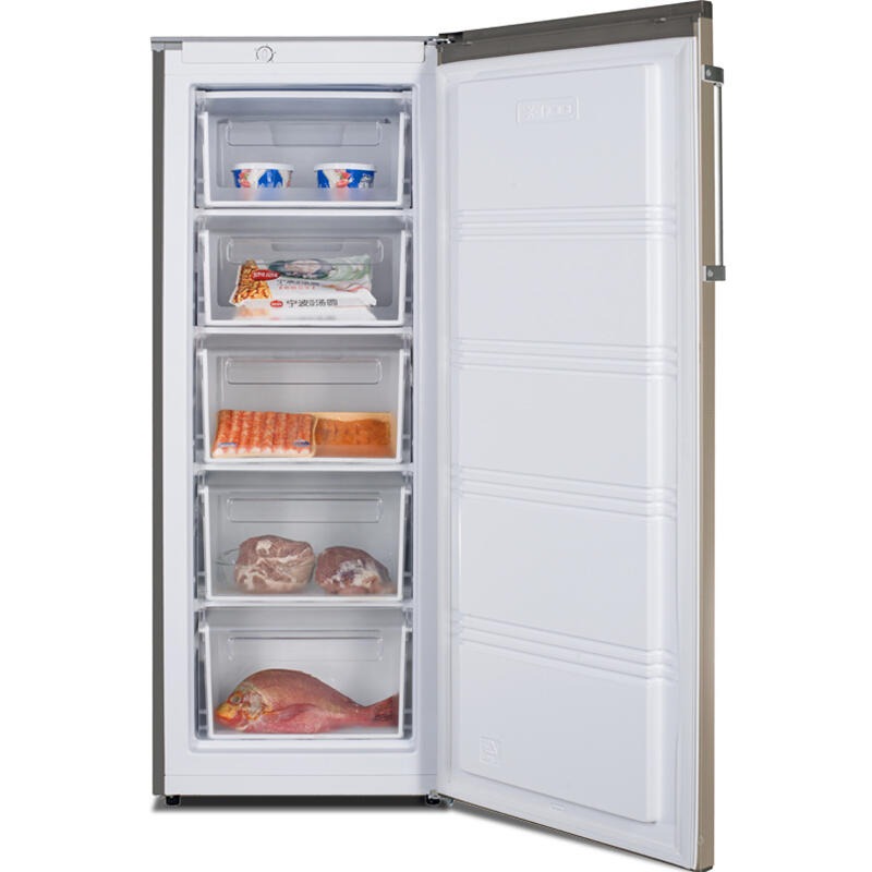 Ronshen/容声 BD-170KE 分层大抽屉 立式冷冻柜 冰柜 家用冷冻 电冰箱