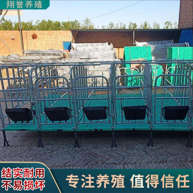 翔誉定制 母猪定位栏 10位加厚2.5养猪产床 落地式养殖场用设备猪围栏 实力厂家更安心