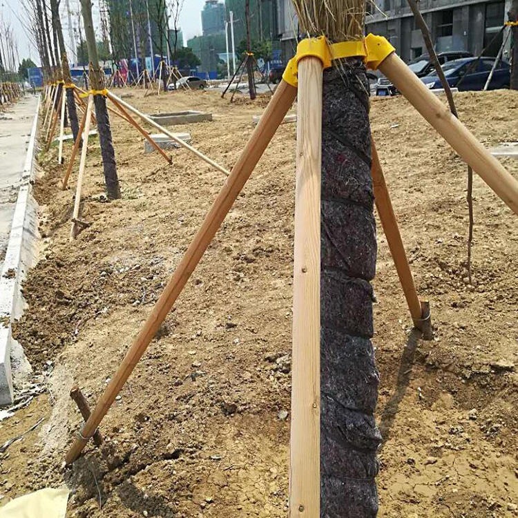 塑料树木支撑支架价格 树苗防风架木质木棒 一匡 厂家直发 销往青海