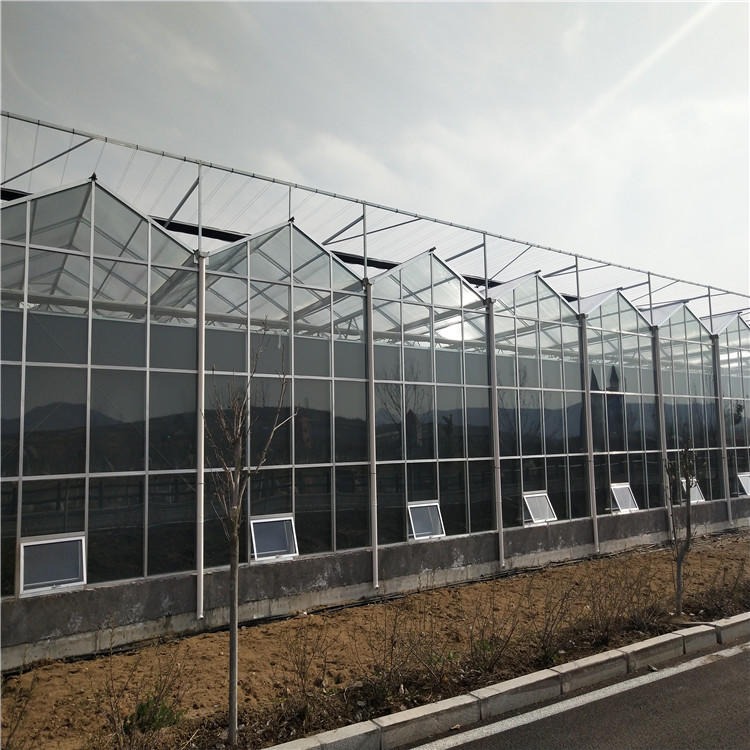 生态玻璃温室大棚 花卉玻璃温室 玻璃温室价格 博伟