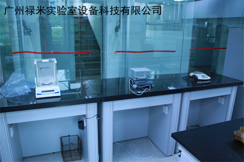 禄米  广东实验室天平台生产厂家 禄米实验室定制安装LUMI-TPT908