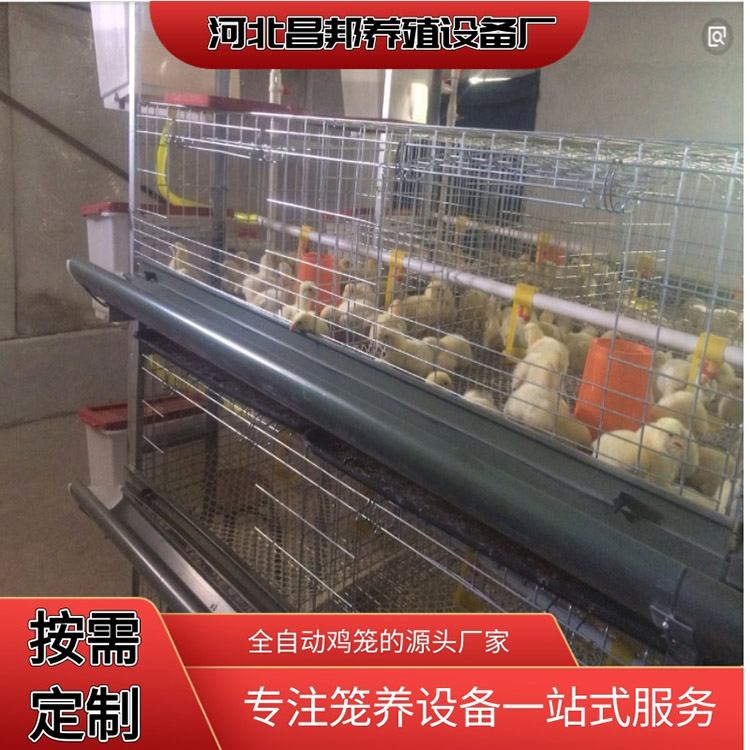 养殖鸡鸡笼 养殖肉鸡笼出售 昌邦 层叠肉鸡笼 厂家供应