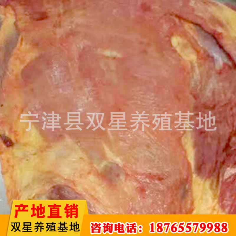 精品批发驴脊骨肉 新鲜驴骨头肉 饭店用生鲜驴肉示例图22