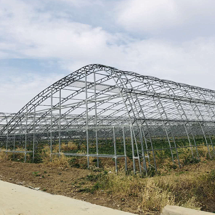 丞昊农业供应 镀锌大棚 蓝莓种植 C型钢大棚 专业设计