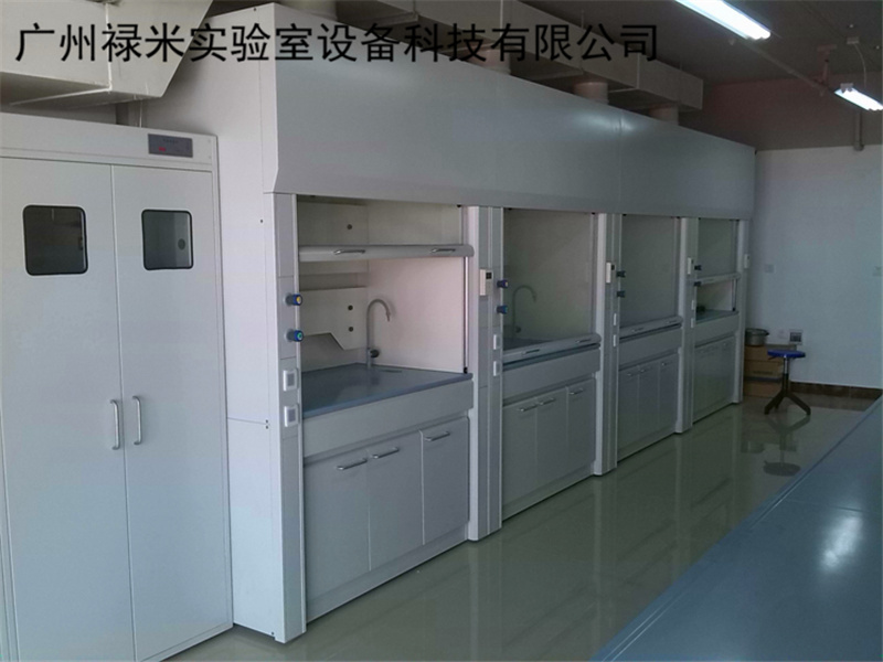 广州禄米实验室直销化学家具 全钢通风柜 实验室通风柜含风机LUMI-TFG923J