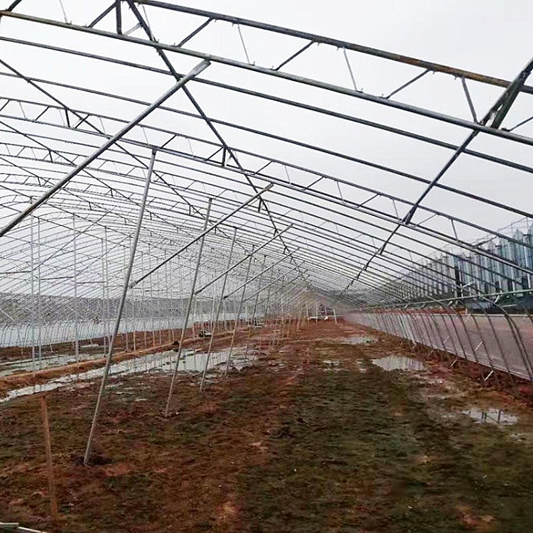 丞昊农业供应 新型大棚 草莓种植 双膜大棚骨架 质量保证