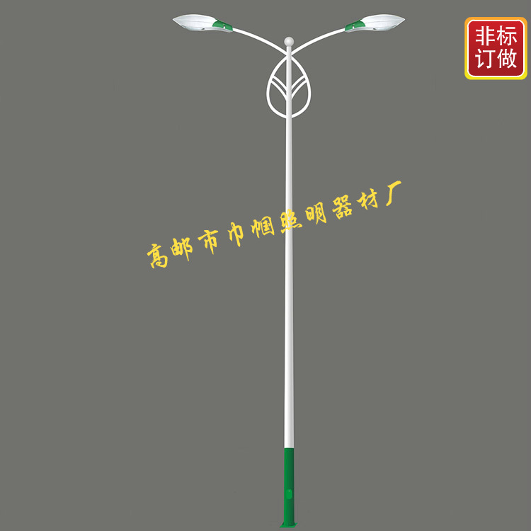 工厂供应双臂路灯灯杆 11米户外热镀锌喷塑江苏广场灯杆