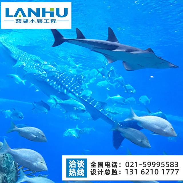 lanhu海洋馆隧道施工 承接大型海洋馆设计建造 海洋隧道亚克力鱼缸板材