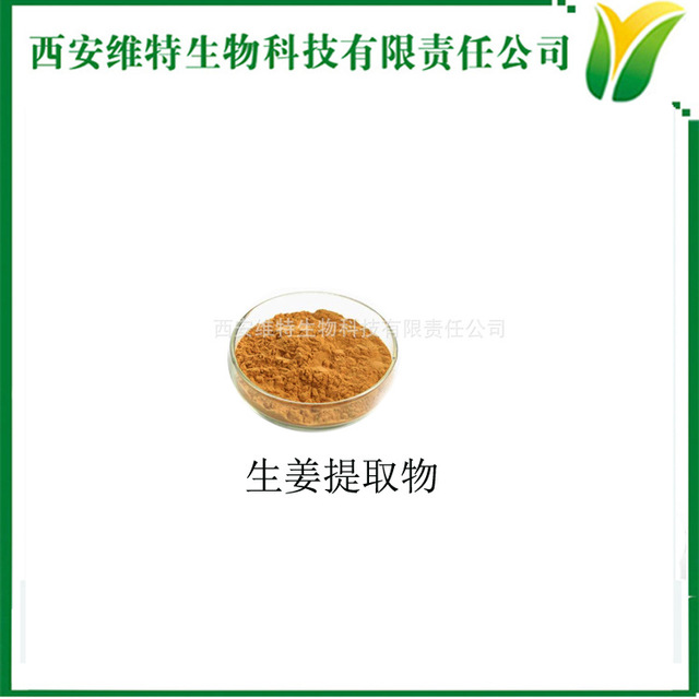 维特生物 生姜提取物10:1 Ginger Extract 姜根比例萃取粉