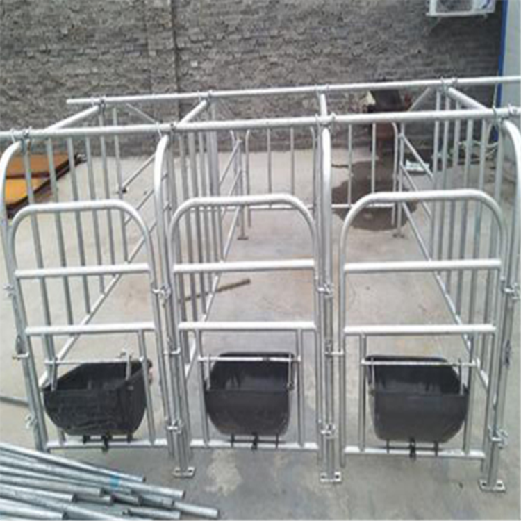 带食槽定位栏 热镀锌母猪定位栏 养猪设备定位栏 晟坤  价格优惠