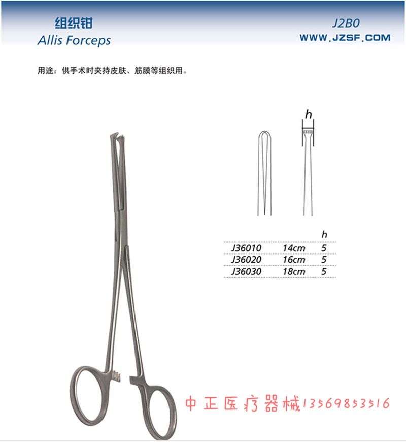 上海金钟组织钳 不锈钢组织钳14cm16cm18cm 各种规格 欢迎订购示例图3