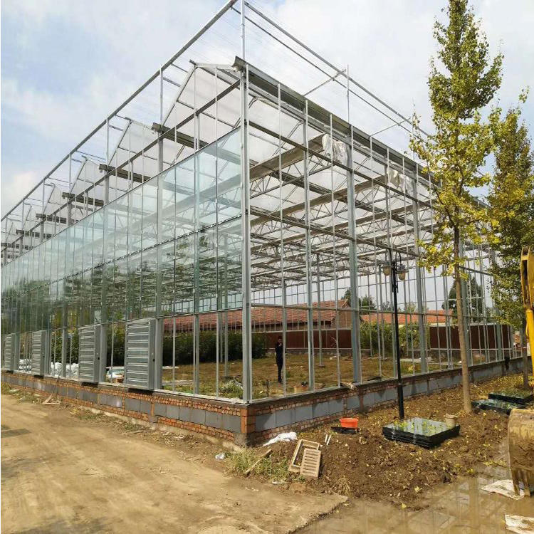 文洛型玻璃温室造价 玻璃蔬菜温室大棚 玻璃生态温室报价 博伟 BW