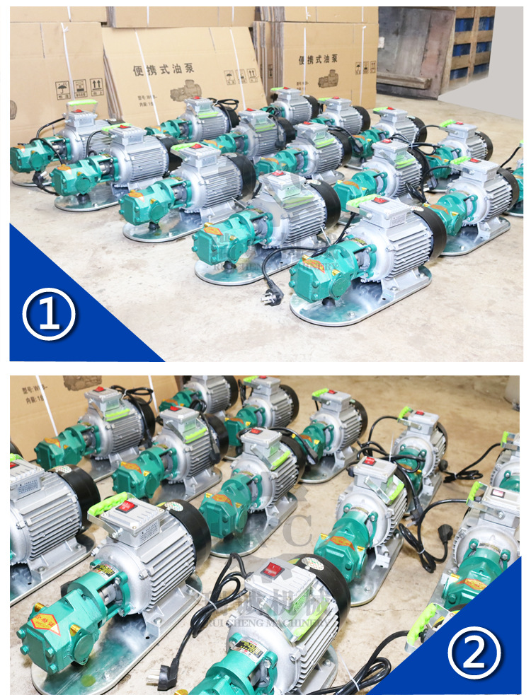供应 WCB100大流量齿轮泵 手提式电动抽油泵 小型便携单项自吸泵示例图6