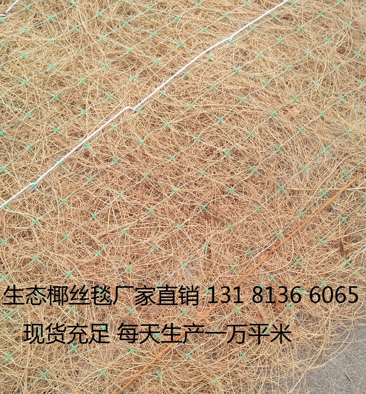 植生毯 抗冲生植生毯 环保草毯 植物纤维毯 施工方案