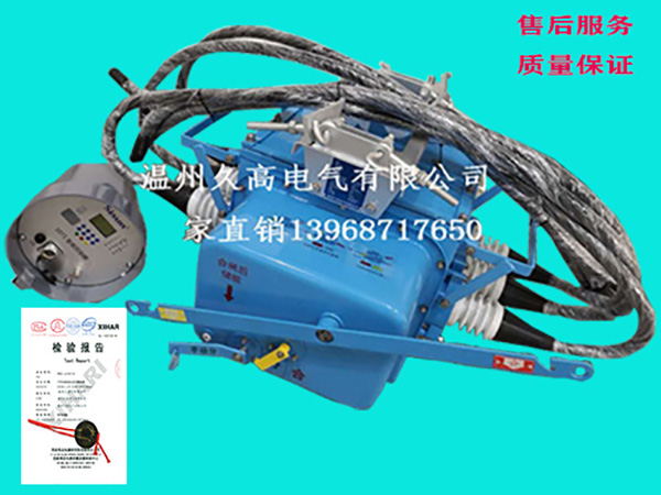 FZW28-12/630A 高压智能断路器 厂家供应质优价廉
