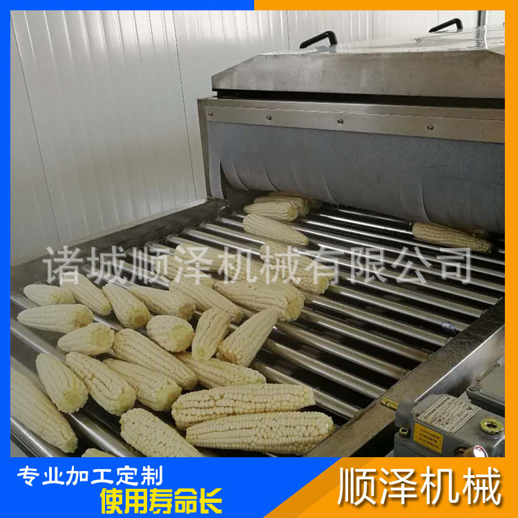 顺泽直销速冻玉米生产线 糯玉米清洗加工流水线 水果玉米加工设备示例图10