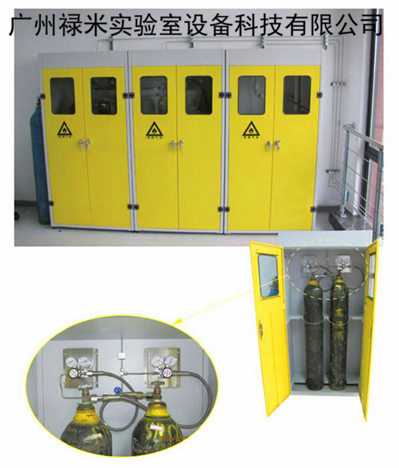 禄米实验室全钢气瓶柜，安全柜，禄米全广州质量好，价格低，厂家发货LUMI-QPG002