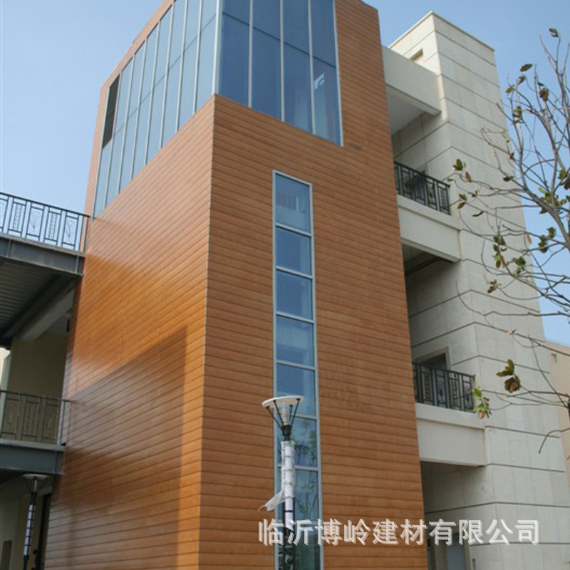厂家直销 生态木外墙板 150平面外墙板/浮雕 防水阻燃PVC木塑墙板示例图5