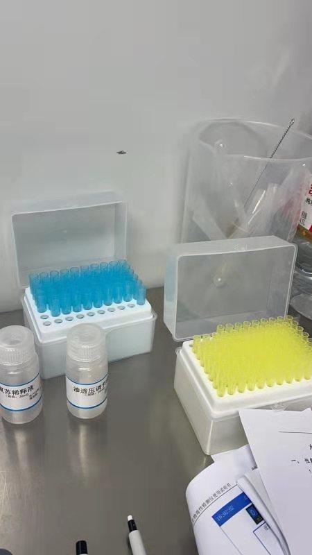  发光细菌法手持式水质生物毒性检测仪LB-60示例图4
