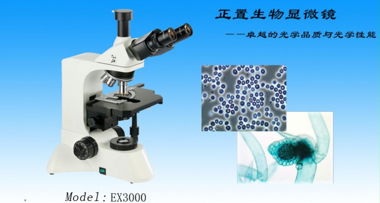 重庆显微镜 生物显微镜 EX3000 留辉科技显微镜报价
