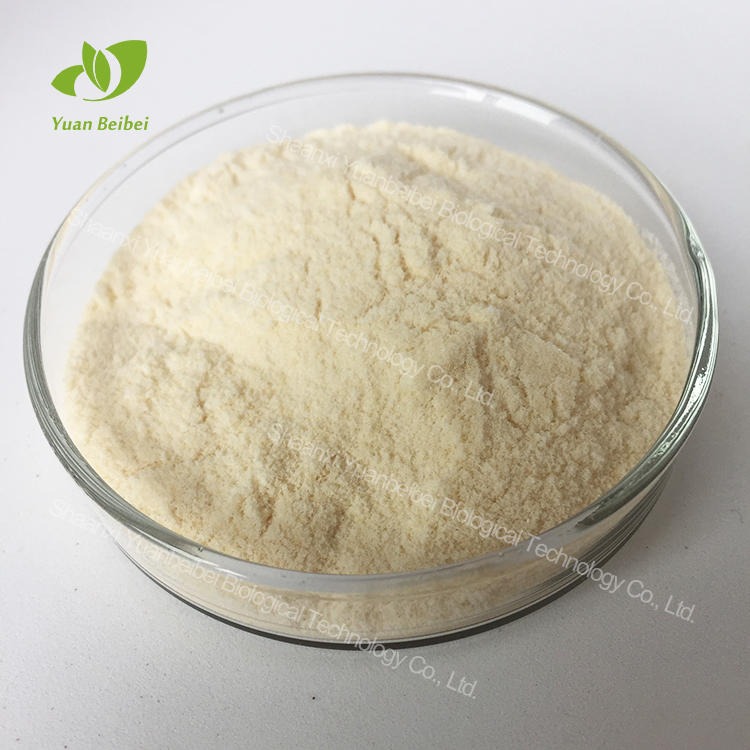 壹贝子纳豆激酶提取物 20000FU/G  富含高量活菌包邮 高质量纳豆粉