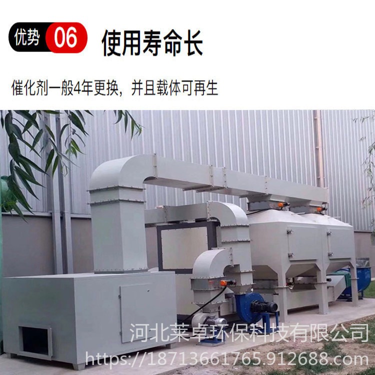 RCO催化燃烧废气装置设备  工业空气净化处理设备 活性碳吸附箱 莱卓环保RS-10000图片