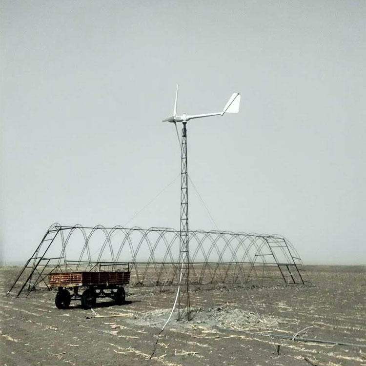 台州风力发电机1000瓦微风启动风力发电机家用