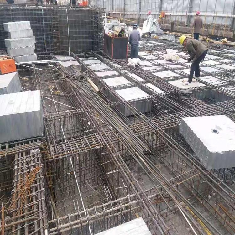 钢网钢网箱 BDF钢网箱体 恩兴 建筑用空心楼盖钢网箱厂家