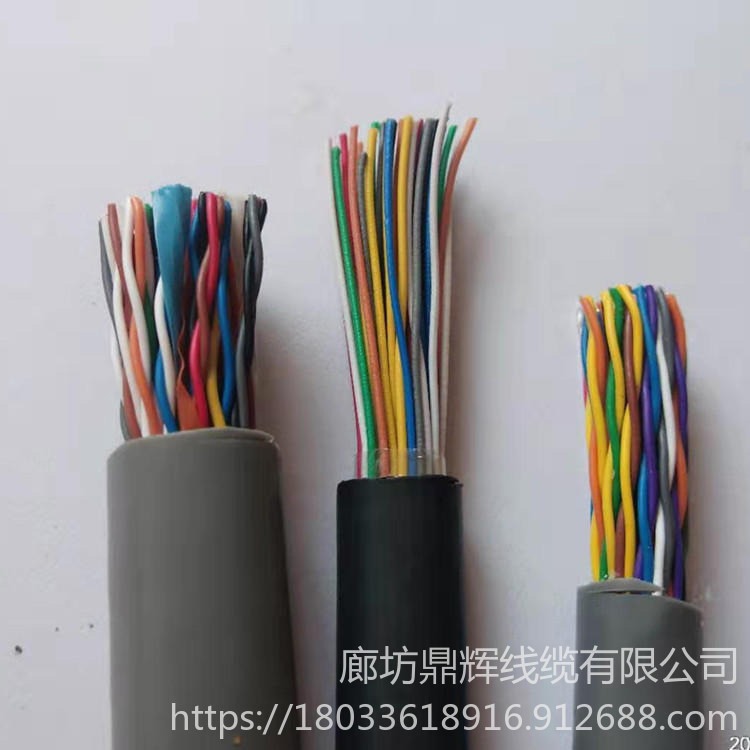 通讯电缆 HYA铁路信号电缆 鼎辉 HYA通信电缆厂家
