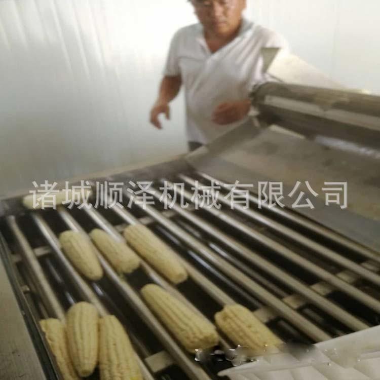 销售滚杠式玉米清洗机 玉米漂烫杀青机 速冻玉米加工设备