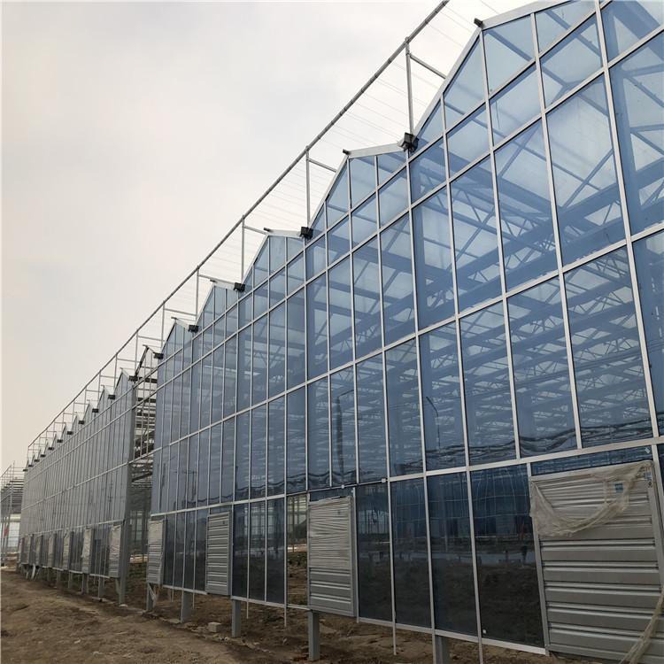 博伟 BW 连栋温室搭建 智能温室 玻璃温室 品质保证